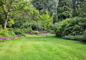Optimiser l'expérience du jardin à Les Portes-en-Re